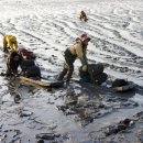 사곡마을(갯벌노을마을) 이미지