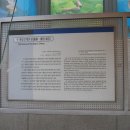 조흥건재