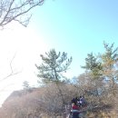 화태민박 이미지