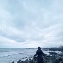 현대디씨렌트카 | 제주 전기차 렌트 푸조 제주렌트카할인