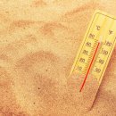 (주)거북 이미지