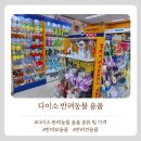 다이소 반려동물용품 가성비 다양성 모두만족!