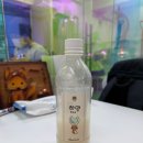 스타트자동차공업사 | 고려대 막걸리 공방 여우굴 | 서울 공방 데이트, 직접 빚는 전통주 원데이클래스 후기