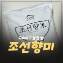 쌀 | 구수하고 찰진 쌀 추천 조선향미 최고급품종 밥맛 좋은 쌀 후기