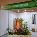 제22회 국제차문화대전 다녀왔네요. 코엑스 D홀 현충일에...꼭 개인 다완 들고 가시길...