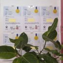 까페쌍화 | 전주쌍화차 더쌍화카페 솔직후기(위치, 주차, 영업시간, 메뉴)