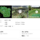 (주)신니개발 네이버블로그