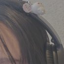 뚜러뻥청년 | 대구 혼자 여행 : 대구 1박 2일 계획 : 소품샵 카페 투어 , 동대구역 동성로 중앙로 루트 추천