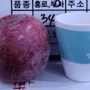 맛없으면사과
