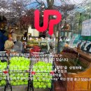 양재테니스 업스트림스포츠 개인레슨 후기 강남 서초 자연 속 테니스장 추천합니다