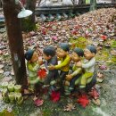 추억정원 이미지