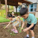 하늘빛유치원 이미지