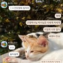 명품 명씨들
