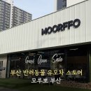 (주)플러스씨엔씨 | 부산 강아지 유모차 전문점 모루뽀 방문 후기, 로얄테일즈 글로리아 플러스 구매, 개모차 고르는 꿀팁까지