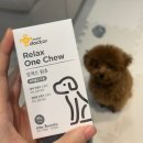 마이펫 강아지유치원 | 강아지분리불안 하울링 완화에 도움 되는 영양제 급여해 본 후기