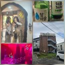 대동복싱 | 강릉 파티게하 후아유 게스트하우스 경포점 숙박+파티 레크레이션없는 쫀잼후기 / 솔, 씨에스타 비교까지