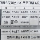 대영 스포렉스 이미지