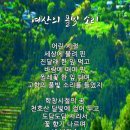 풀빛소리