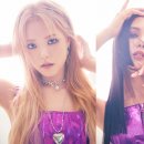 샨티 이미지