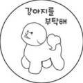 강아지를부탁해(돌봄) 이미지