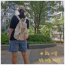 거뜬하다 | 초경량 여행용 백팩 추천 와이비비 백패 후기 12,000보도 거뜬하다