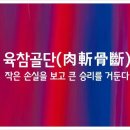 육참골단ㅣ肉斬骨斷 이미지