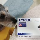 명진동물병원 이미지