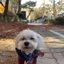 선영씨책방 이미지