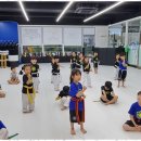 에이스태권도 이미지