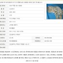 작년 11월 인천 부평에서 발견된 남아 고양이의 가족이 되어주실 분을 찾습니다ㅠㅠ 이미지