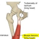 가든리체프라자 이미지
