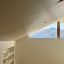 사시산색 이미지