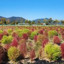 황산공원 이미지