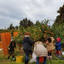 열린농장 이미지