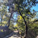 인다락마을 | 짜릿한 스릴이 함께하는 도봉산 다락능선 코스. 망월사역 출발 다락능선 타고 정상(신선대)까지, 하산은...