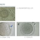 베스트오브미여성의원 이미지