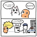 큰돌개별화물 | NCT WISH 단독콘서트 [INTO THE WISH] 첫콘(2025.10.31) 후기 l 말많음주의