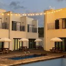 메종드아일랜드 이미지