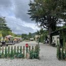 무주읍168 이미지