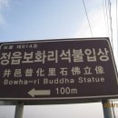 보화리 고택 Daum카페