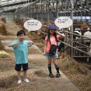 현서축사 이미지