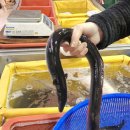 부전기장골목시장 | 부전시장 민물골목에서 만난 부산장어즙 양산민물