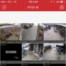 포승농장 이미지