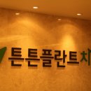 튼튼플란트치과