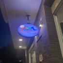 노랑풍선 나트랑달랏 3박5일 패키지3