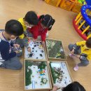 연포초등학교병설유치원 이미지