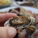 평화횟집수산 이미지