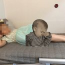 365진약국 이미지