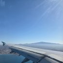 별천지 | 제주 함덕 [제주별천지] 제주감성숙소 추천 후기