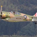 동산동물병원 이미지